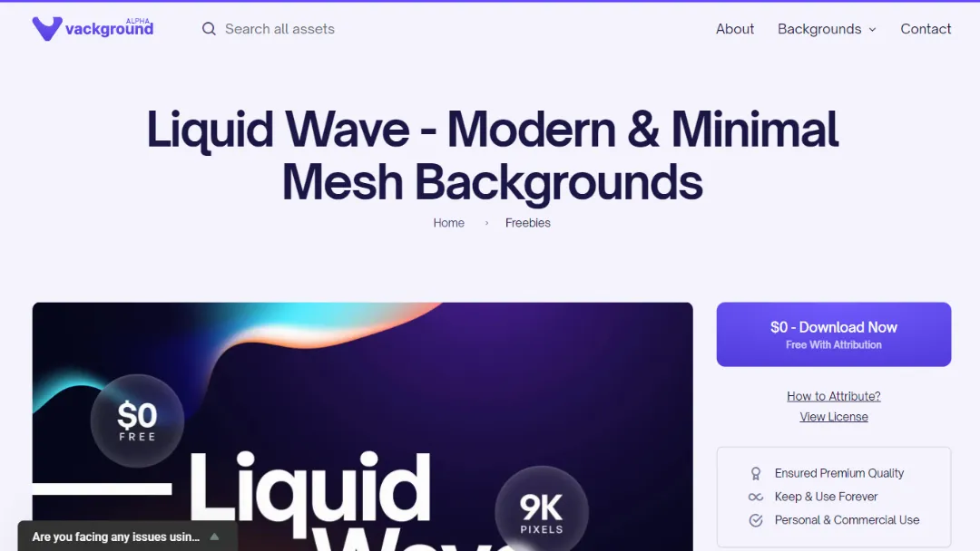 Liquid Wave Website Screenshot