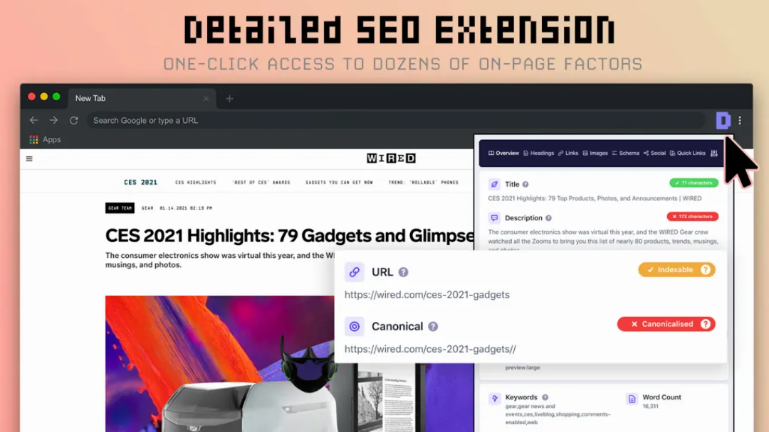 Detailed SEO Extension Website Screenshot