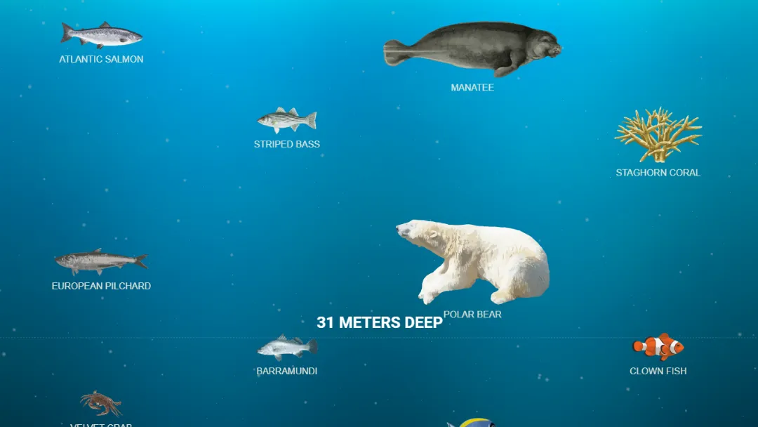 Deep Sea Website Screenshot