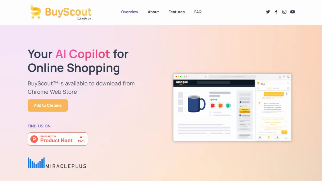 BuyScout™ Website Screenshot