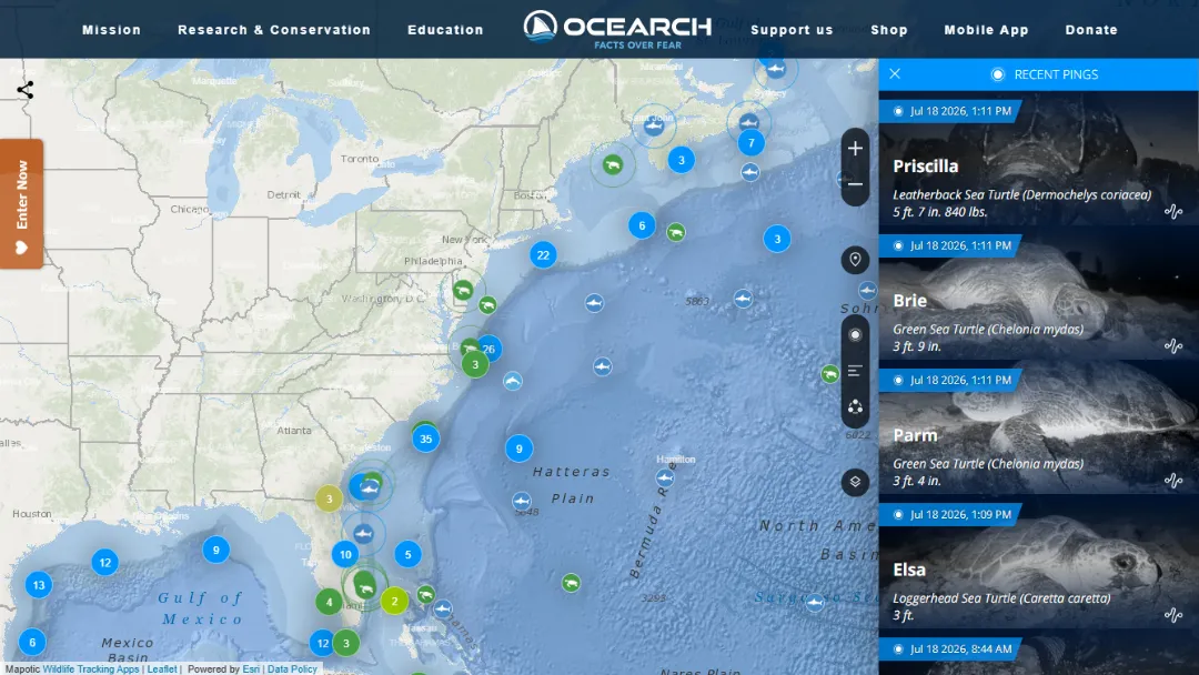 OCEARCH Global Shark Tracker Website Screenshot